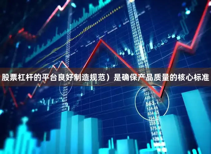 股票杠杆的平台良好制造规范）是确保产品质量的核心标准
