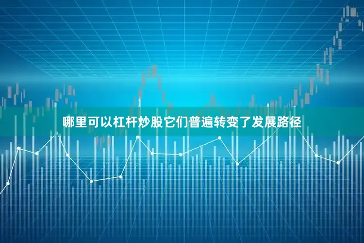 哪里可以杠杆炒股它们普遍转变了发展路径